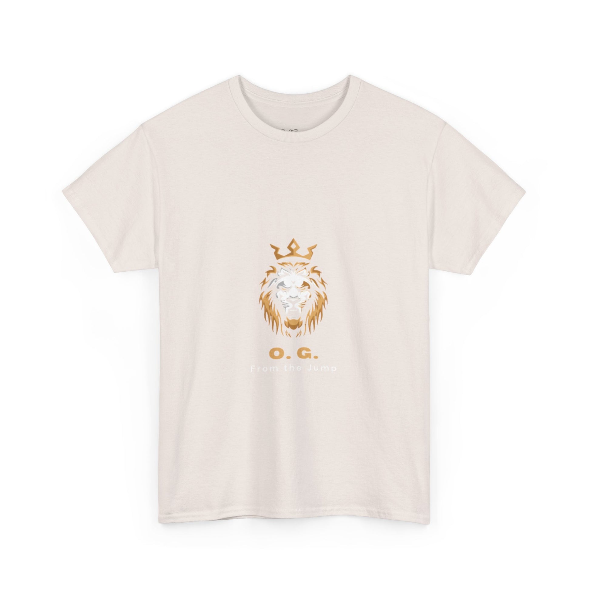 unisex heavy cotton tee